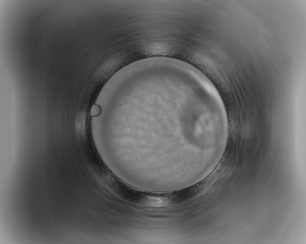 X0000094320167200711301215