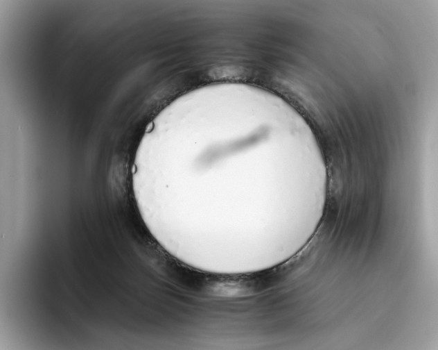 X0000094320171200711301215