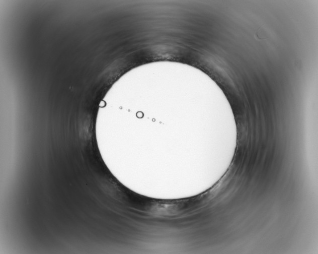 X0000094320174200711301215