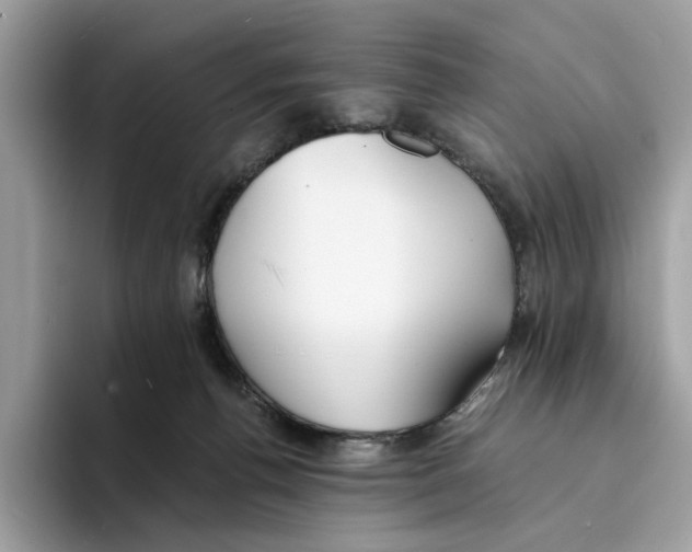 X0000094320176200711301215