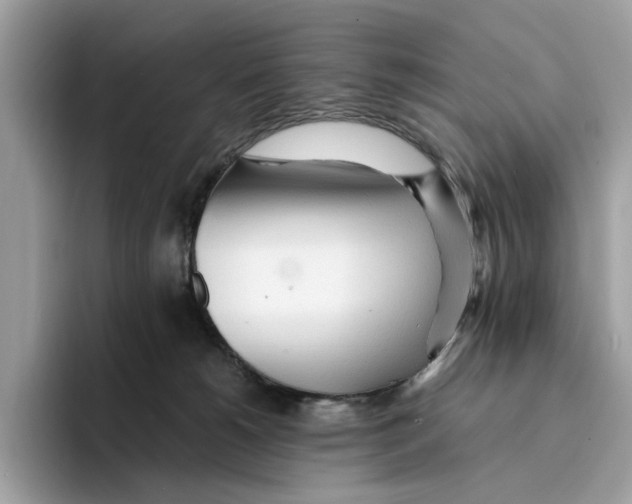 X0000094320180200711301215