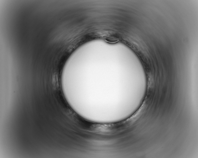 X0000094320182200711301216