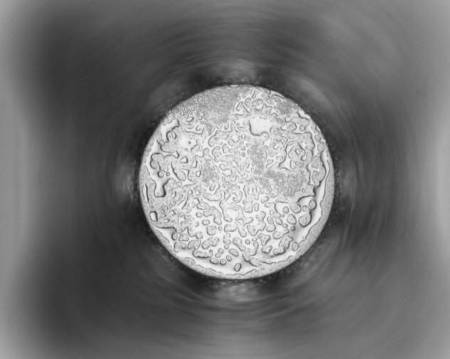 X0000094320185200711301216