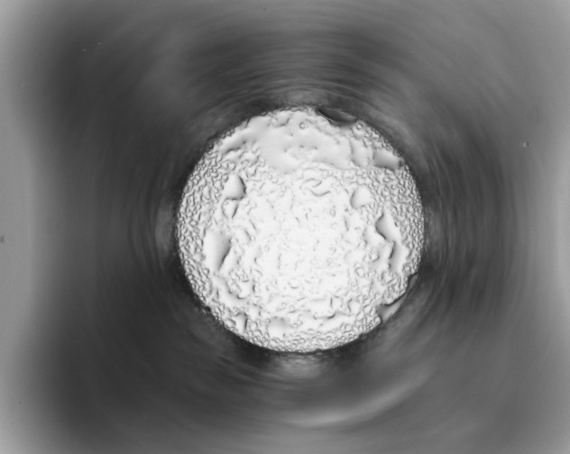 X0000094320189200711301216