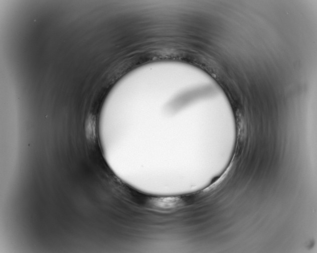 X0000094320191200711301216