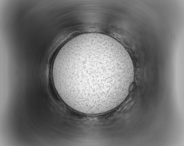 X0000094320194200711301215