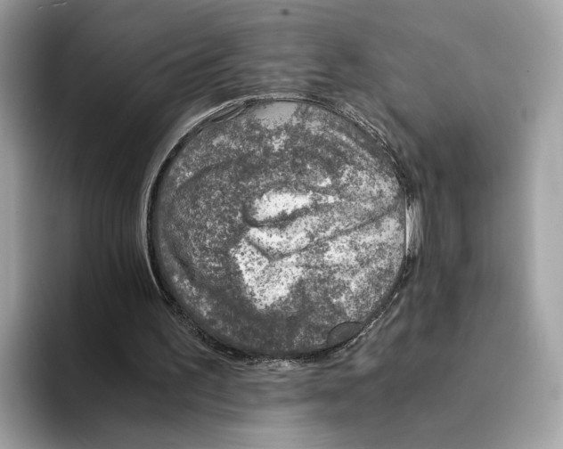 X0000094320195200711301215