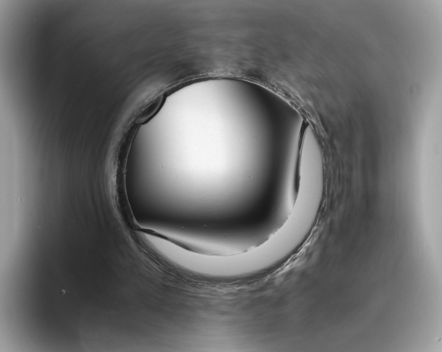 X0000094320197200711301215