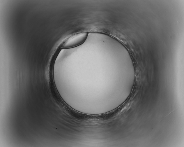 X0000094320200200711301215