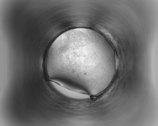 X0000094320201200711301215