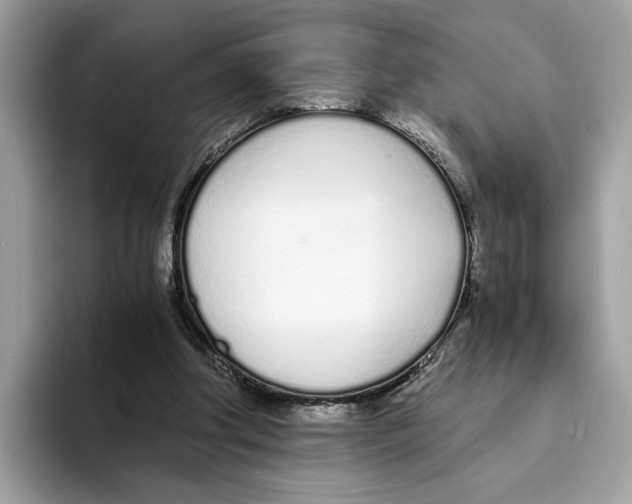 X0000094320202200711301215