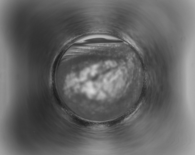 X0000094320203200711301215