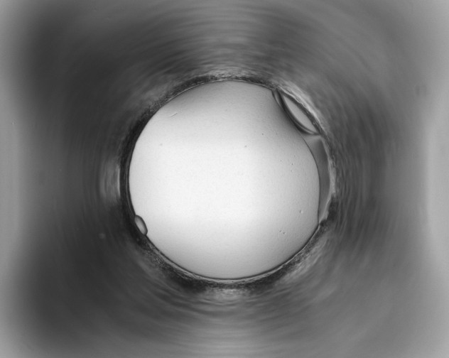 X0000094320205200711301215