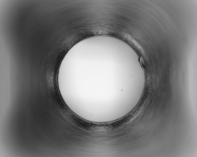 X0000094320209200711301215