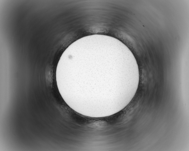 X0000094320210200711301215