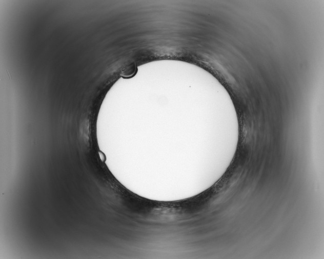 X0000094320211200711301215