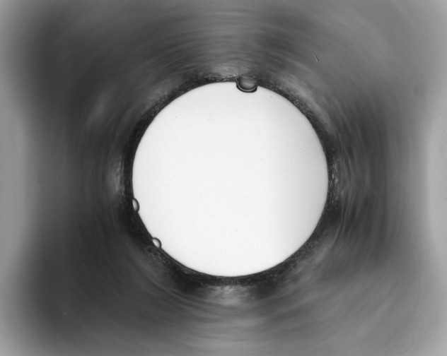 X0000094320212200711301215