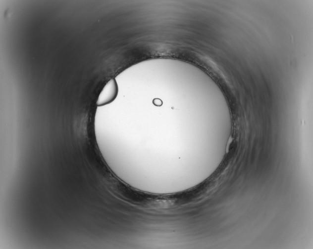 X0000094320217200711301215