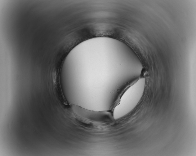 X0000094320219200711301215