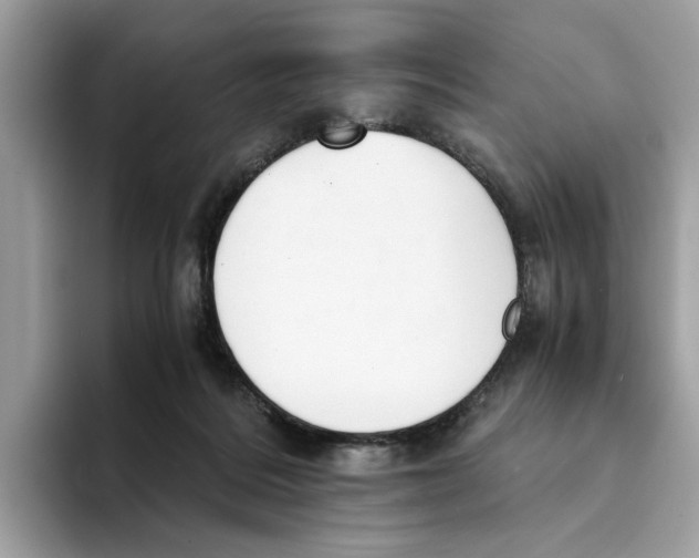 X0000094320220200711301215