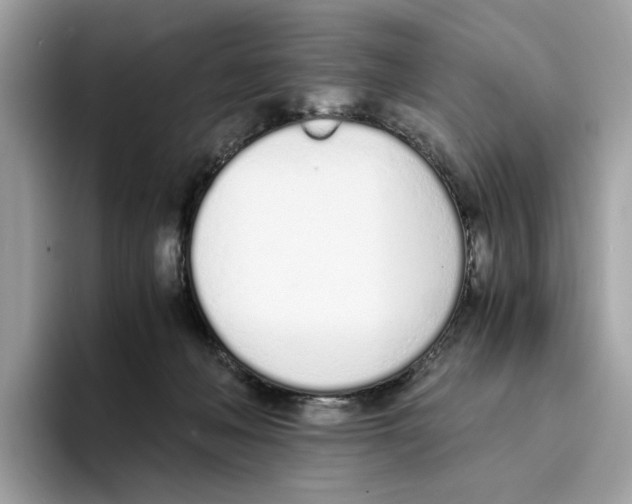 X0000094320222200711301215