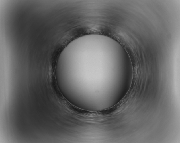 X0000094320223200711301215