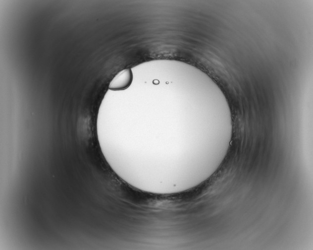 X0000094320224200711301215