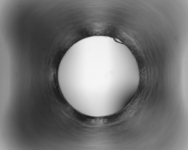 X0000094320225200711301215