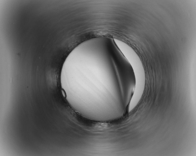 X0000094320227200711301215