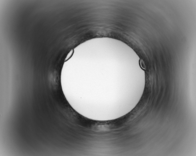 X0000094320228200711301215