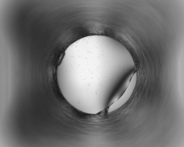 X0000094320229200711301215