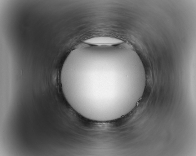 X0000094320233200711301215