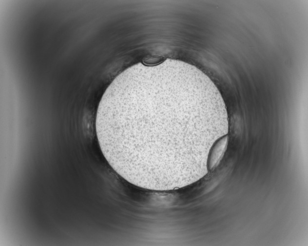 X0000094320234200711301214