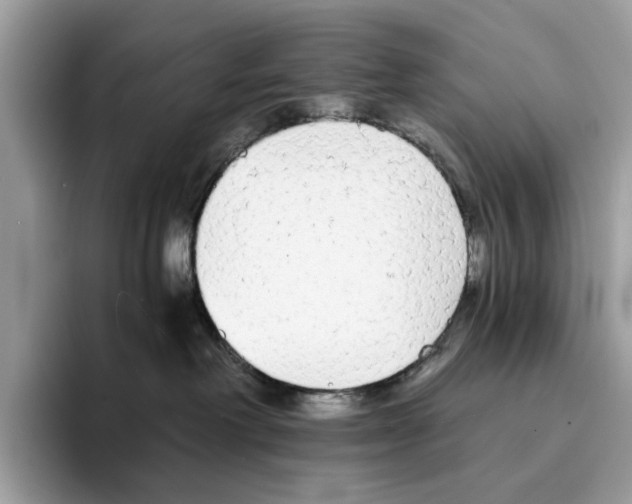 X0000094320238200711301214