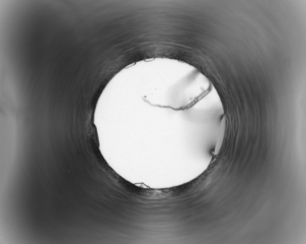 X0000094320239200711301214