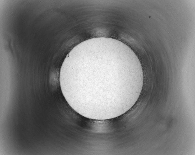 X0000094320240200711301214