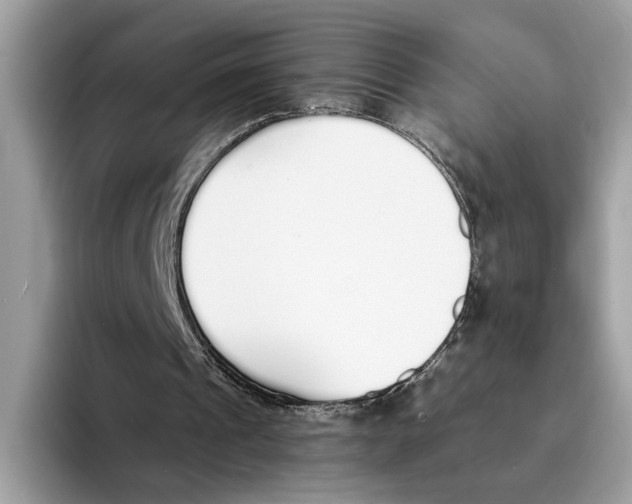 X0000094320241200711301214