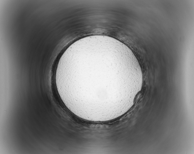 X0000094320242200711301214