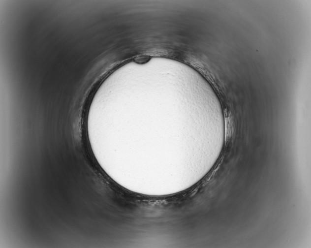 X0000094320243200711301214