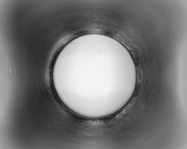 X0000094320245200711301214