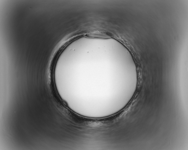 X0000094320246200711301214