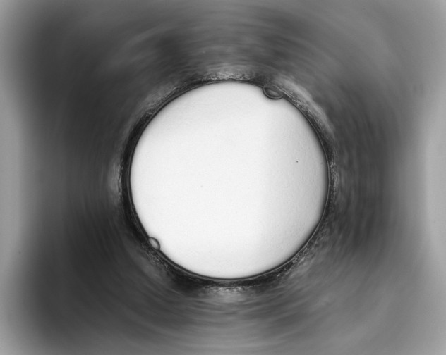 X0000094320250200711301214