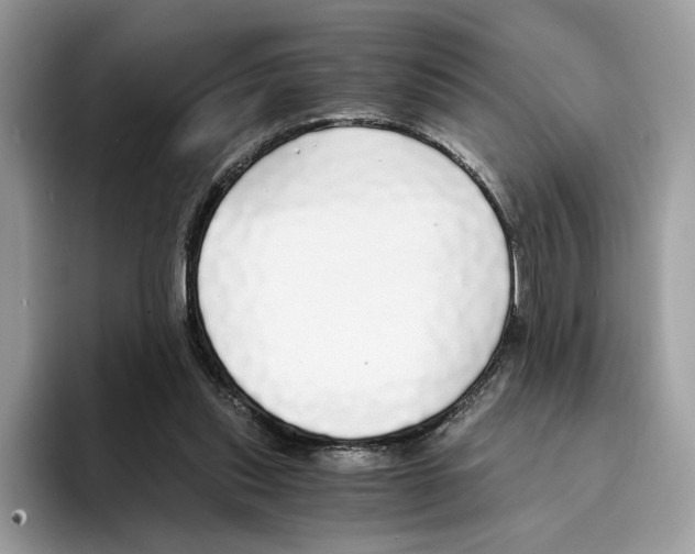 X0000094320253200711301214