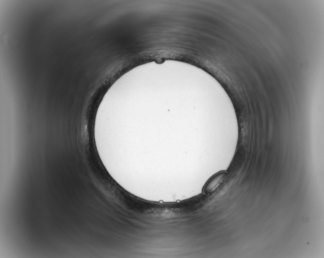 X0000094320254200711301214