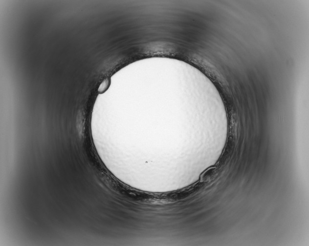 X0000094320255200711301214