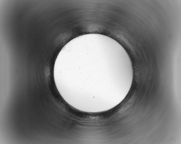 X0000094320260200711301214