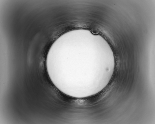 X0000094320265200711301214