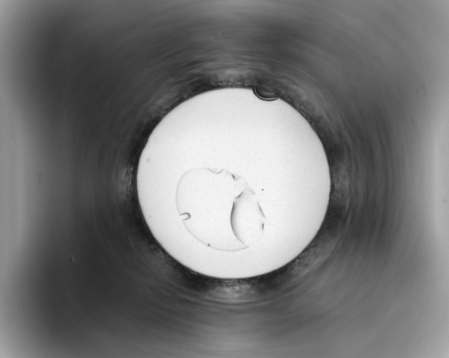 X0000094320278200711301214