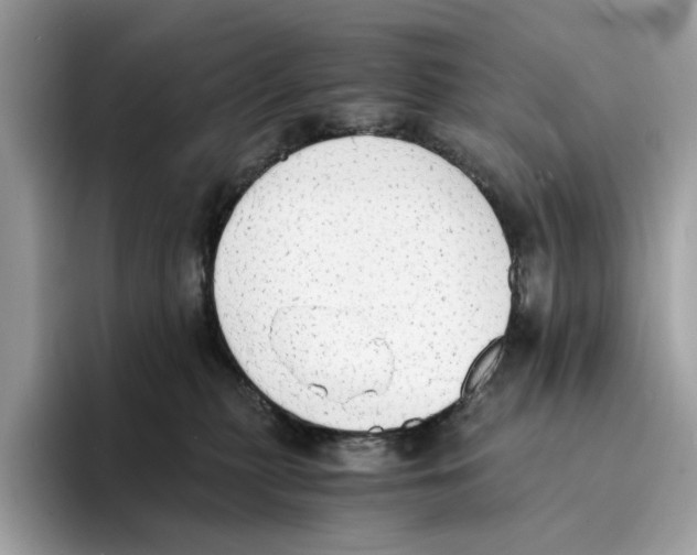 X0000094320279200711301214