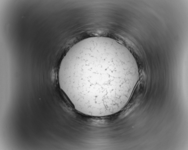 X0000094320284200711301214